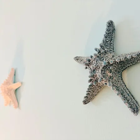 Casa Zoe * ガリポリ